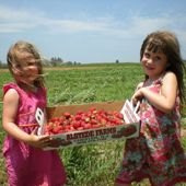Get Locavore at U-Pick Farms in New Jersey